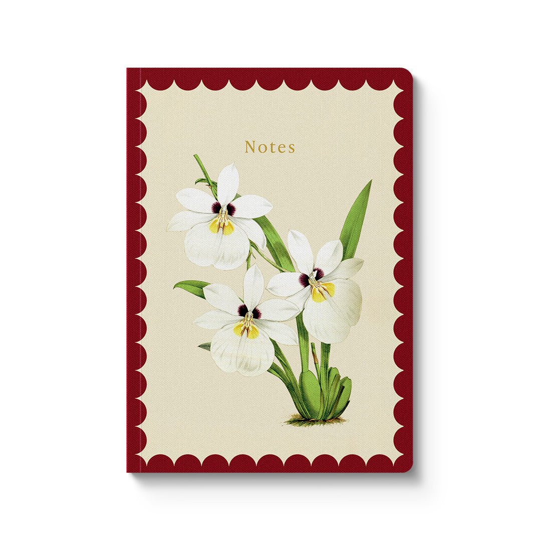 White Orchid Paperback Notebook (A5) (12904)
