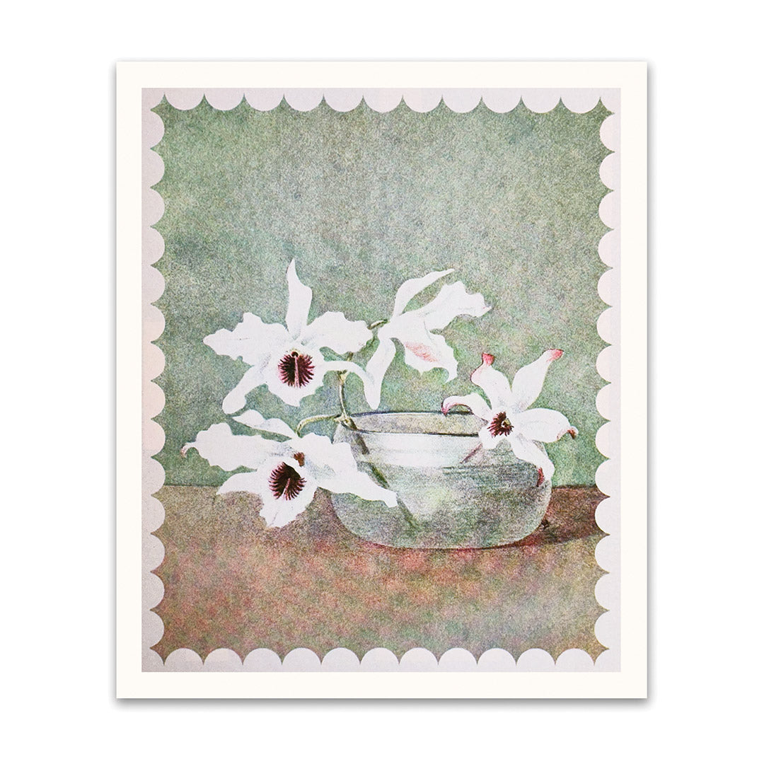 White Orchid In Water Riso Print (10x12) (12211)