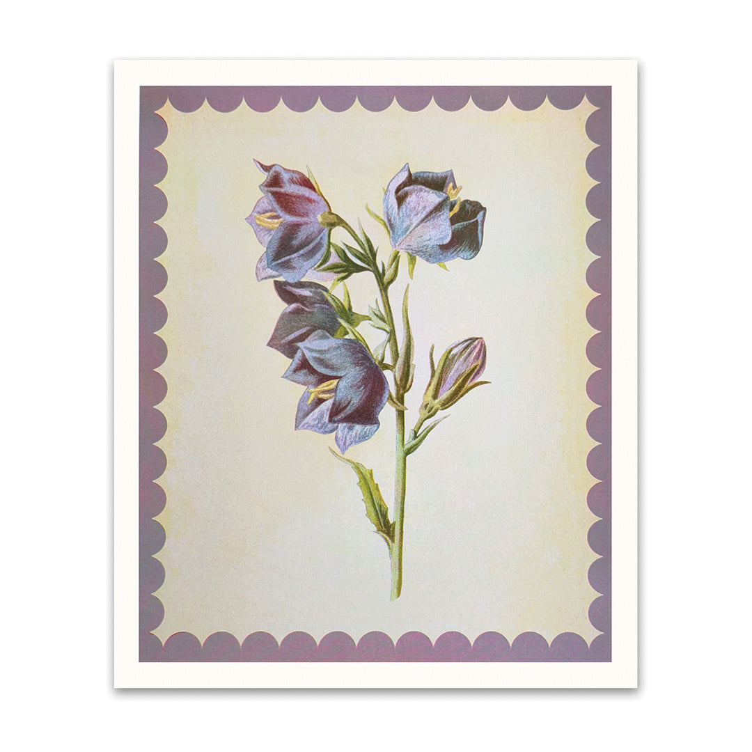 Giant Bell Flower Riso Print (10x12) (12464)