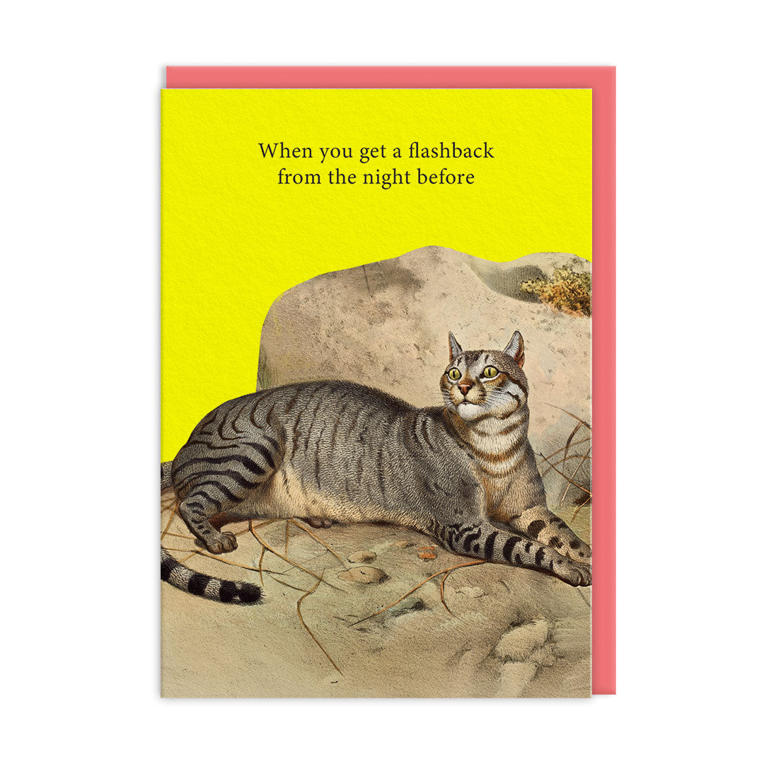 Flashbacks Greeting Card (14336)