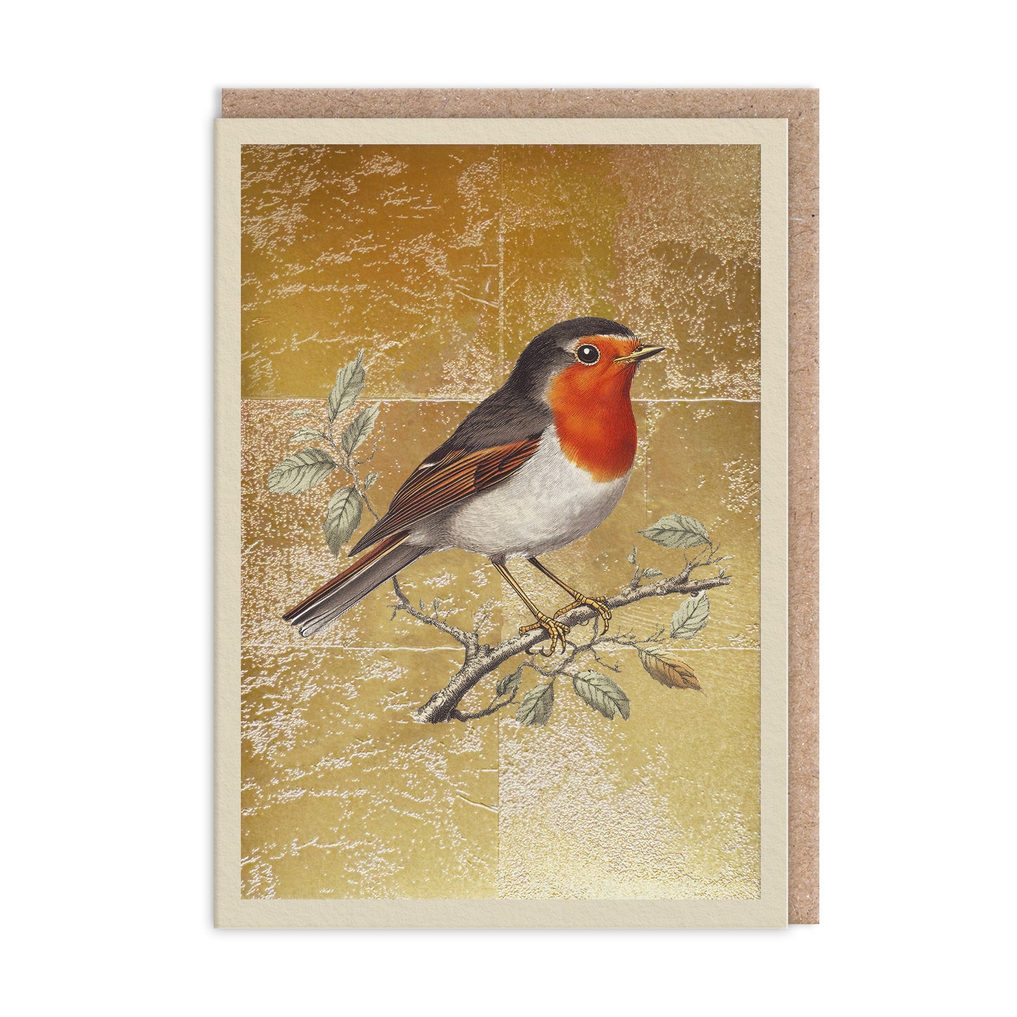 Robin Greeting Card (13503)