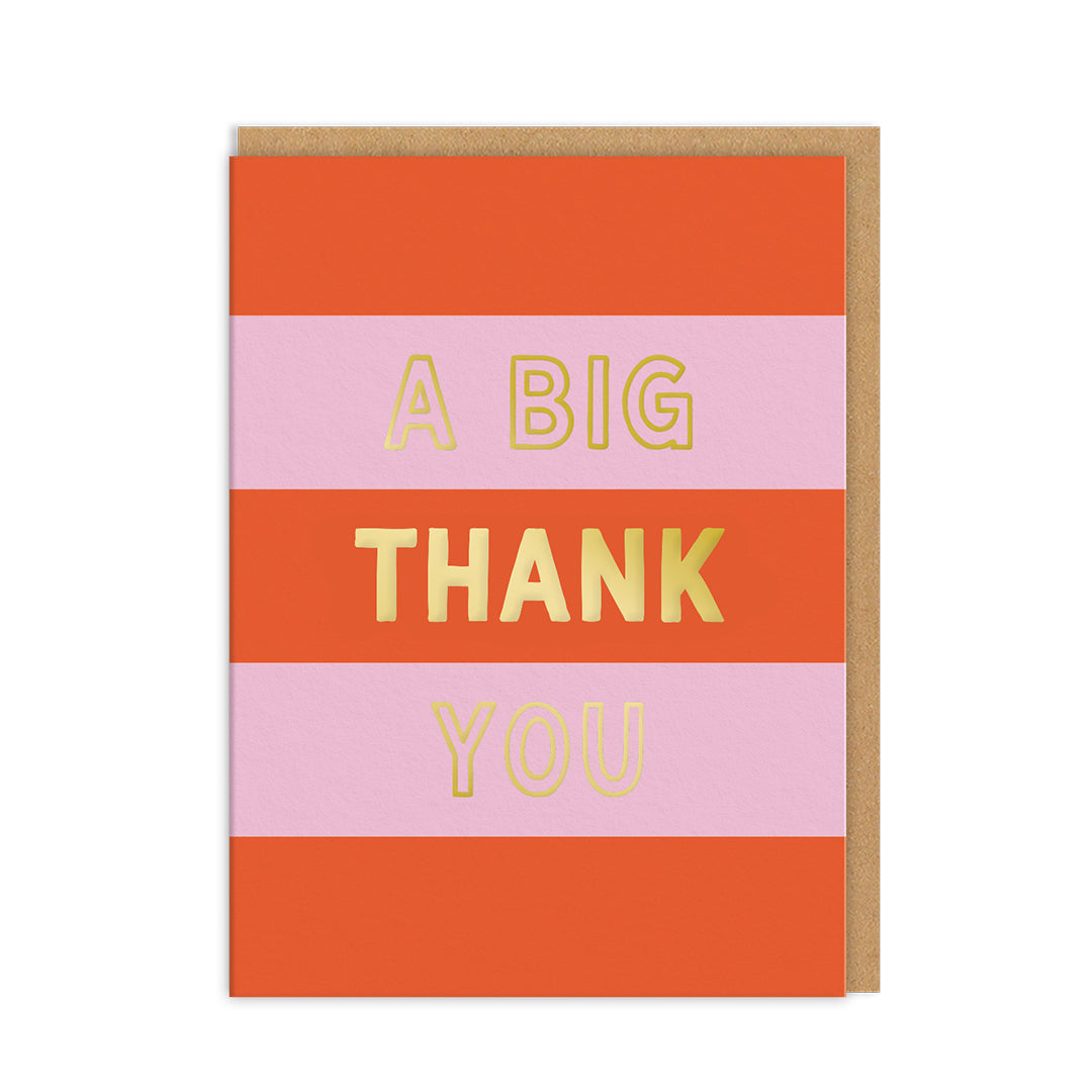 A Big Thank You Mini Greeting Card (Pack of 6) (14231)