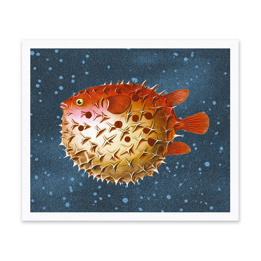 Puffer Fish Riso Print (10x12) (12201)