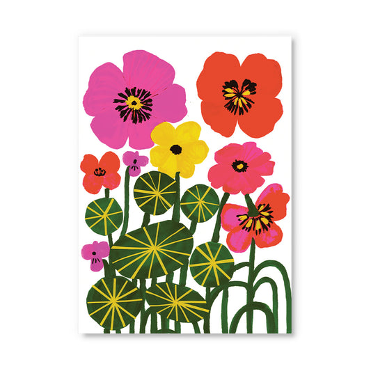 Nasturtiums Postcard (12282)