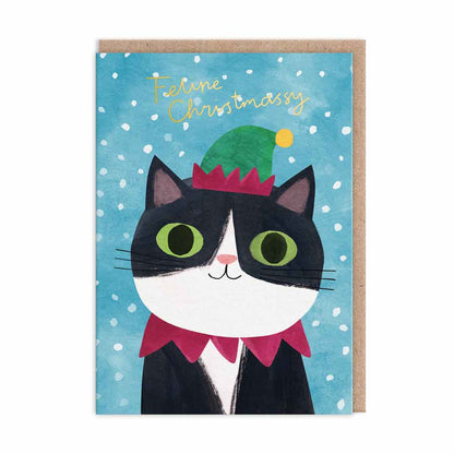 Cats In Hats Christmas Card Pack (9729)