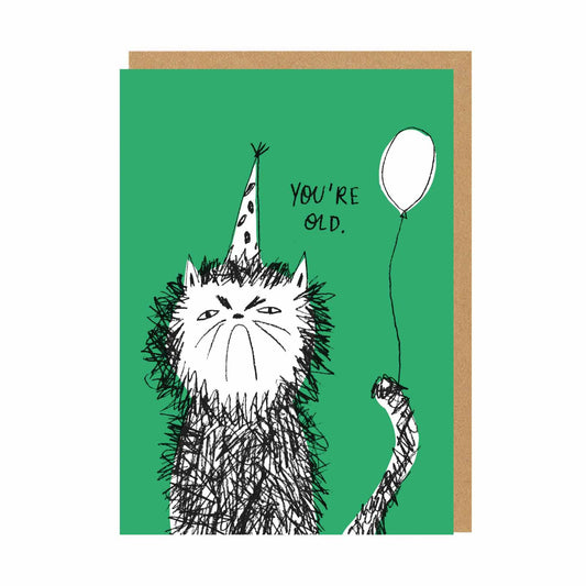 Green birthday card with a grumpy cat illustration with text that reads You're Old