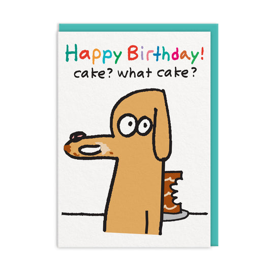 Cake? What Cake? Birthday Card (12497)