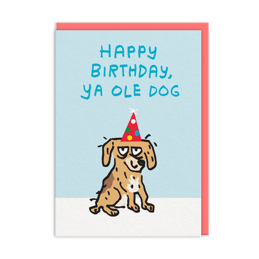 Happy Birthday Ya Ole Dog Greeting Card (12499)