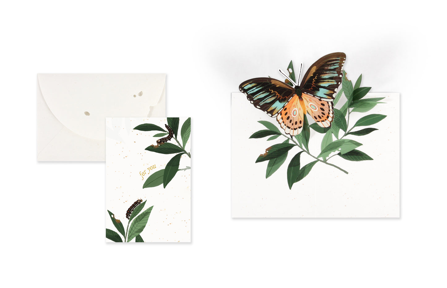 Butterfly Petite Die-Cut Greeting Card (13229)