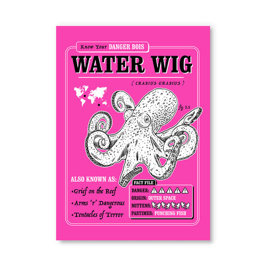 Water Wig Postcard (12161)