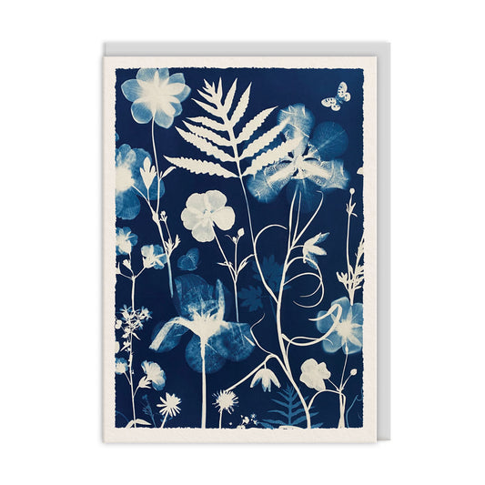 Poppies and Anenomes Greeting Card (13447)