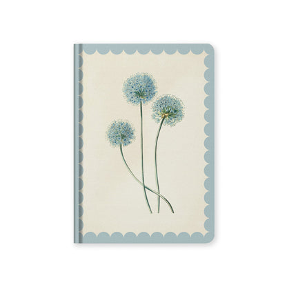 Allium Hardback Notebook (A5) (12909)