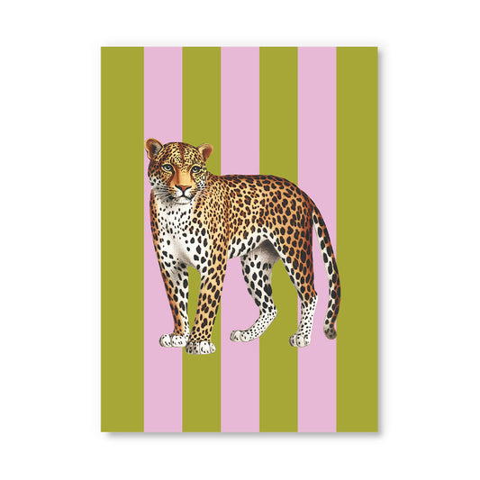 Striped Leopard Postcard (12331)