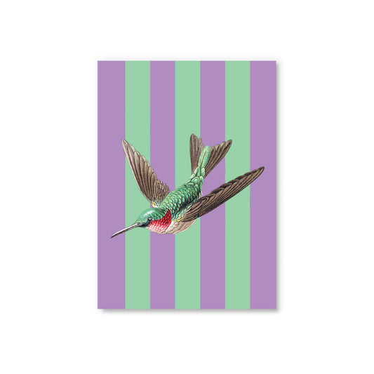 Striped Hummingbird Postcard (12336)