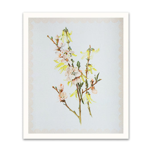 Spring Blossom Riso Print (12x10)(12209)