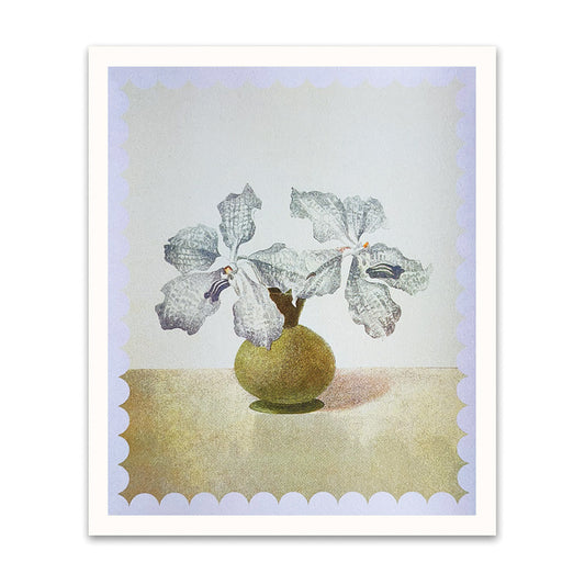 Lilac Orchid Riso Print (12x10)(12210)