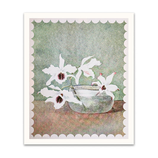 White Orchid In Water Riso Print (12x10)(12211)