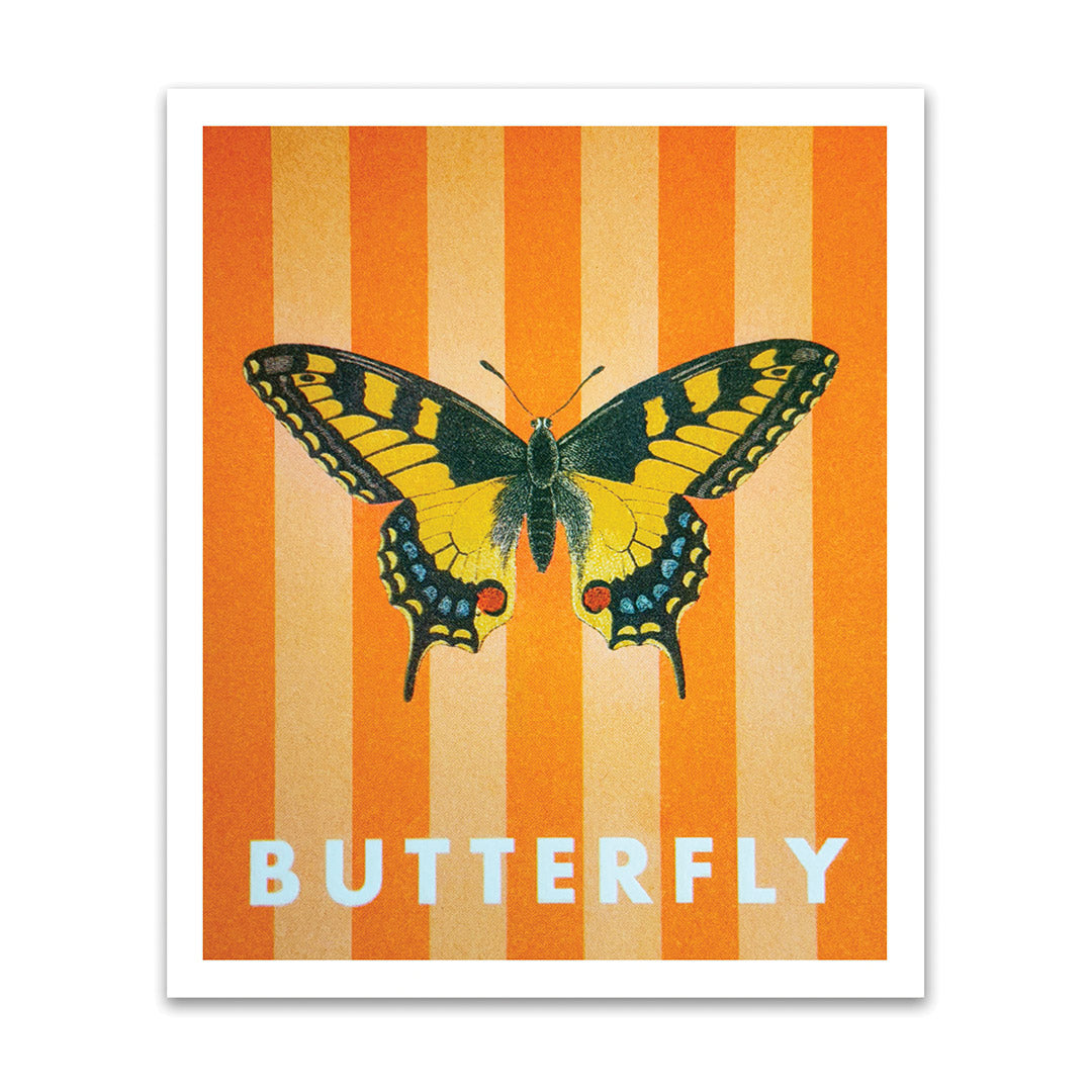 Striped Butterfly Riso Print (8x6)(12321)