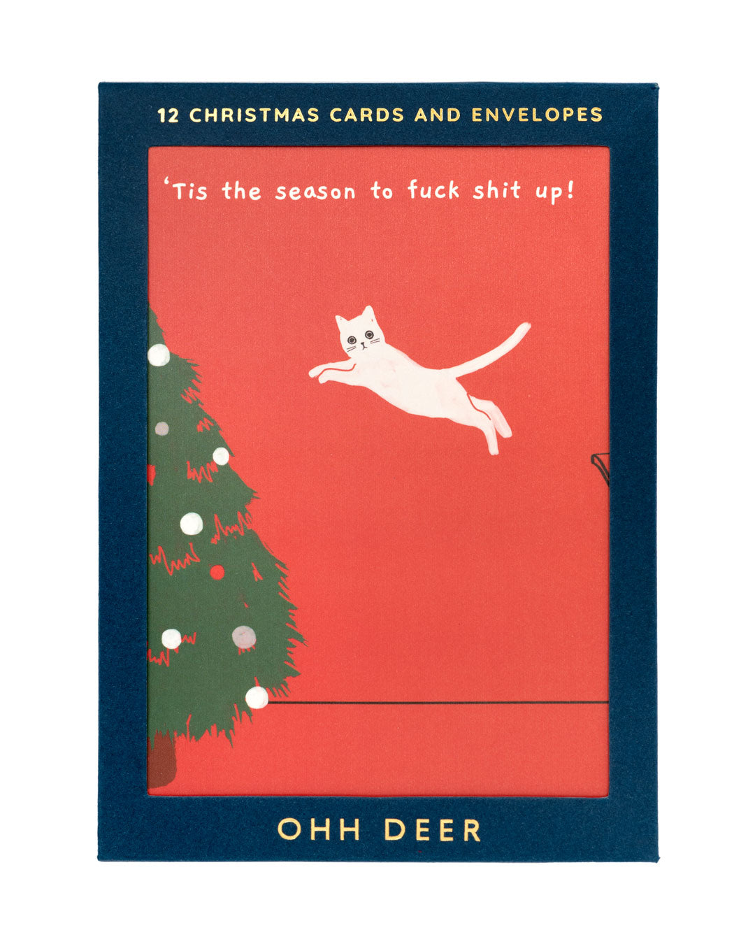 Ken The Cat Christmas Card Set - Pack of 12