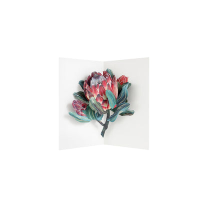 Protea 3D Layer Greeting Card (9298)