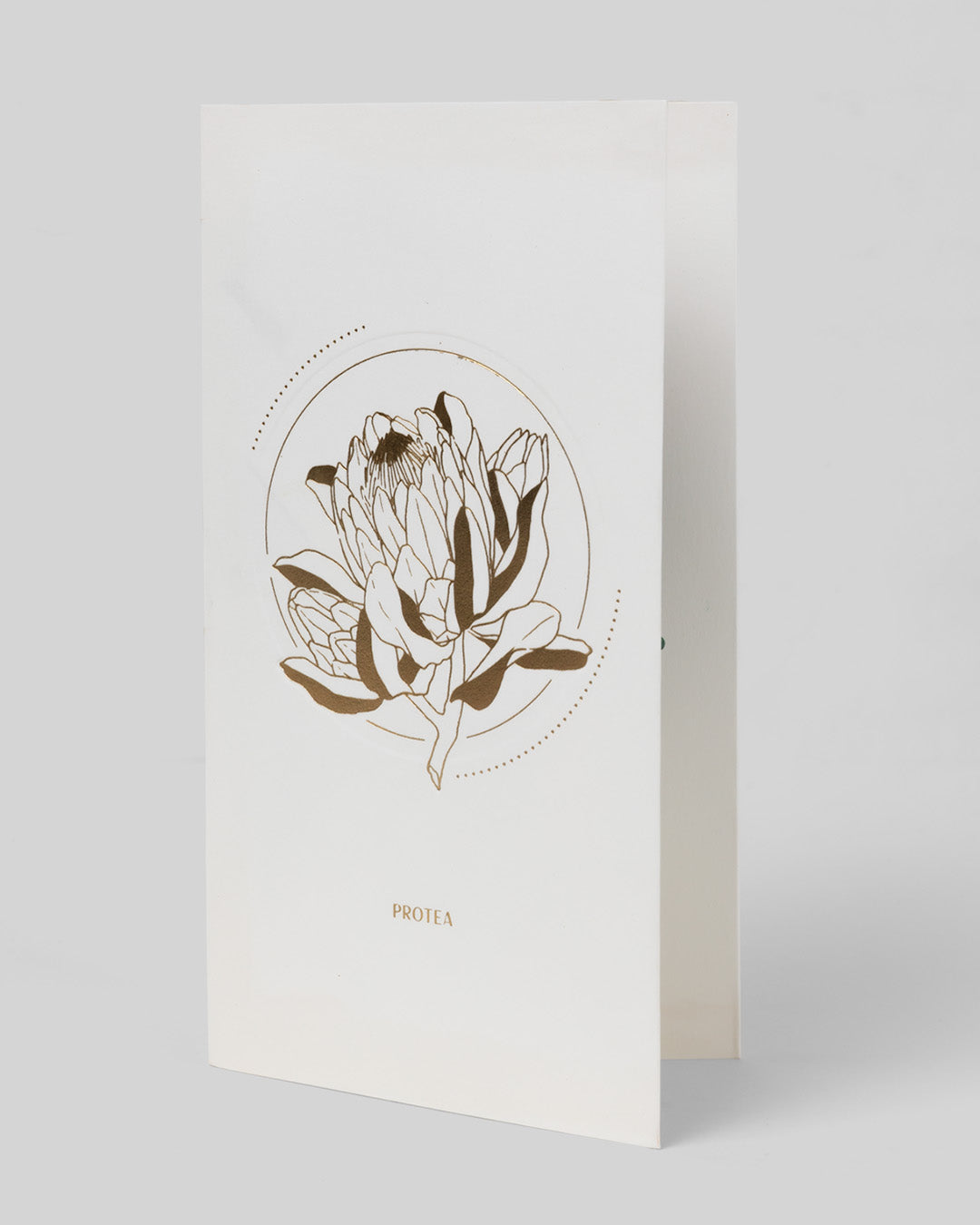 Protea 3D Layer Greeting Card (9298)