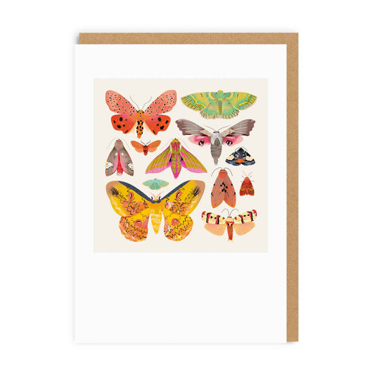 White greeting card featuring colourful butterfly and moth images