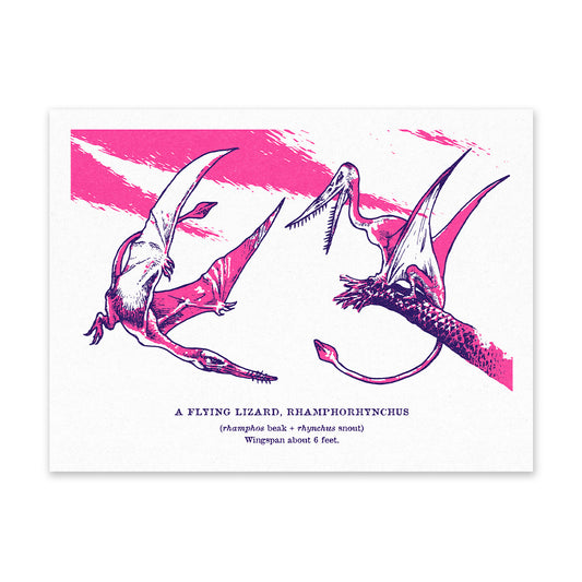 Rhamphorhynchus Riso Print (8x6) (12526)