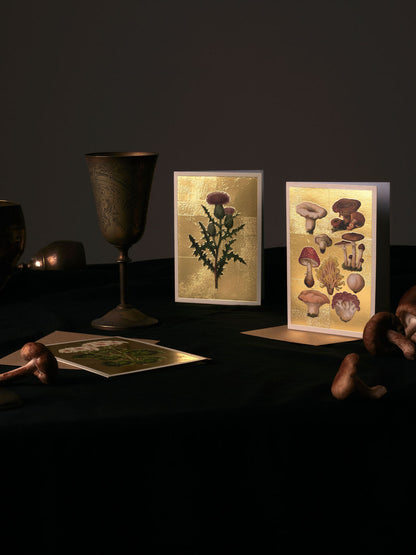 Foxglove Greeting Card (13324)