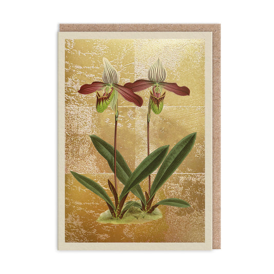 Cypripedium Meirax Greeting Card (11985)