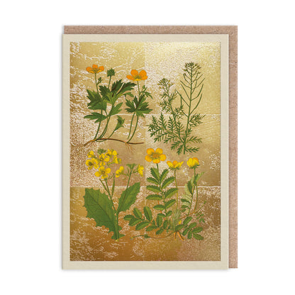 Wild Marsh Flower Collection Greeting Card (11988)