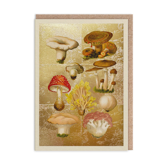 Fungi Collection Greeting Card (11993)