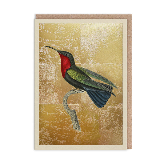 Garnet-Throated Hummingbird Greeting Card (11994)