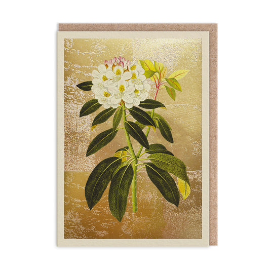 Rhododendron Greeting Card (12005)