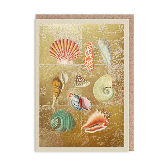 Shell Collection Greeting Card (12006)