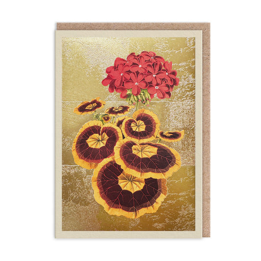 Pelargonium Greeting Card (13329)