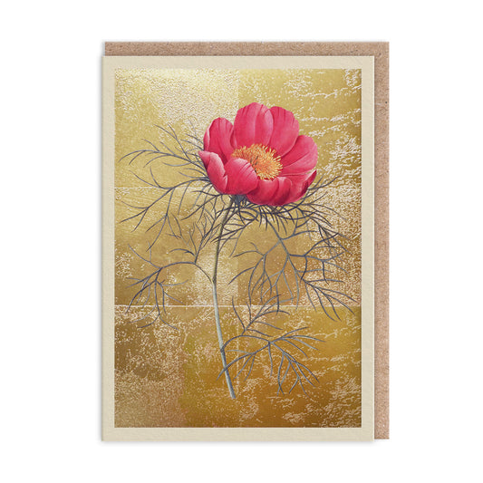 Peony Greeting Card (13330)