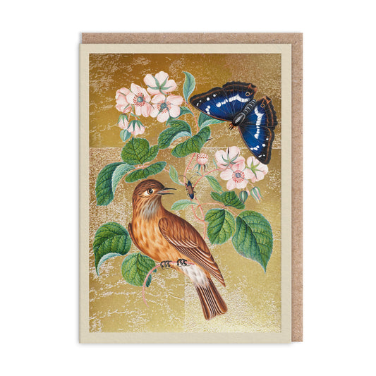Wren Greeting Card (13332)