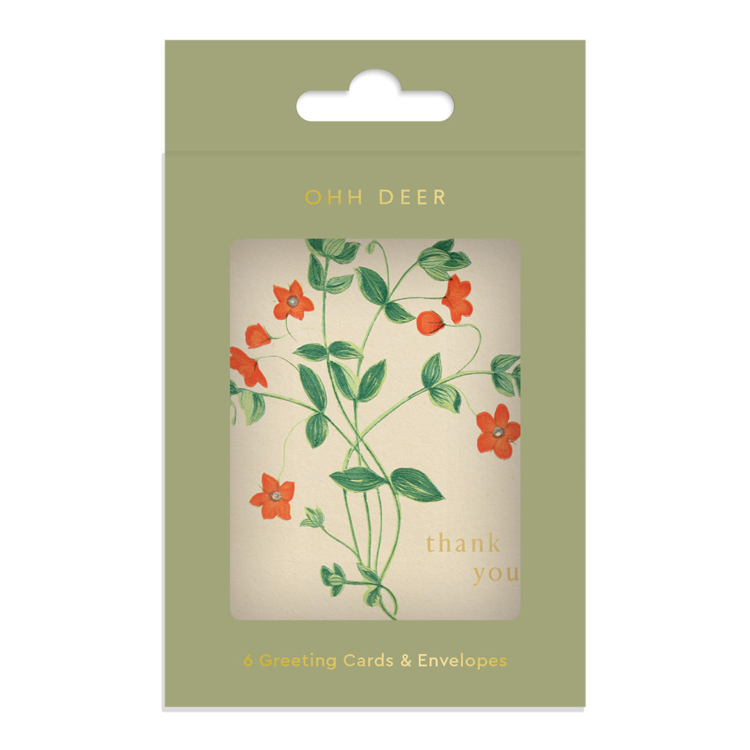 Among The Flowers Mini Greeting Card (Pack of 6) (14230)