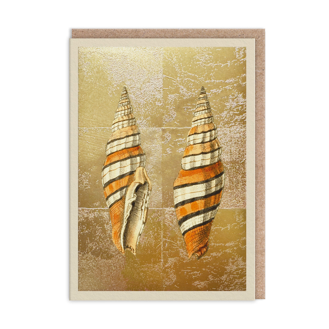 Shells Mini Greeting Card (14372)
