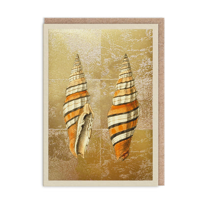 Shells Mini Greeting Card (14372)