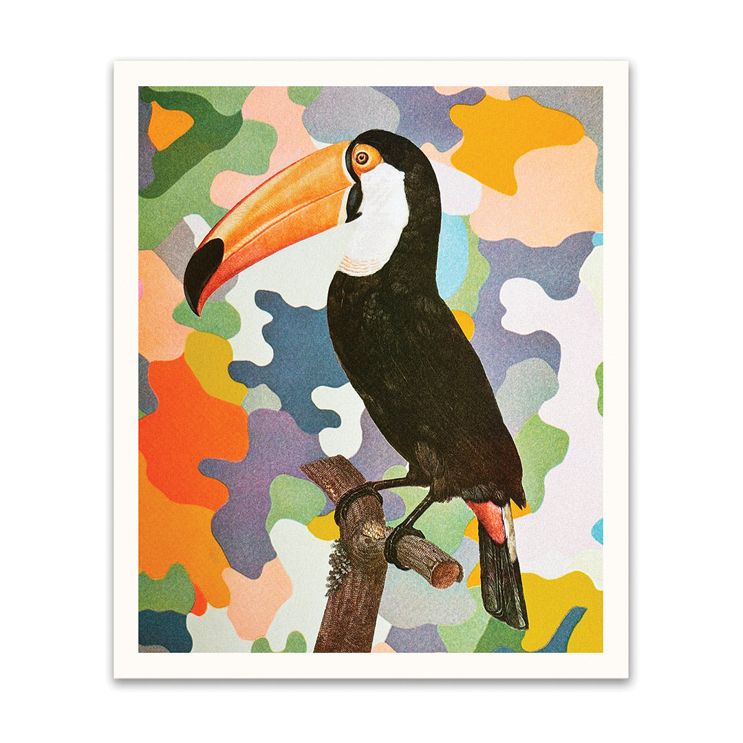 Toucan Riso Print (12x10)(12177)