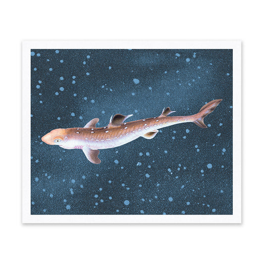 Spiny Dogfish Riso Print (12x10)(12202)