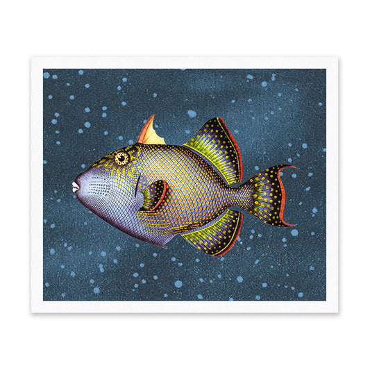 Blue Triggerfish Riso Print (12x10)(12203)