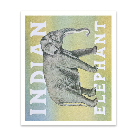 Indian Elephant Riso Print (12x10)(12206)