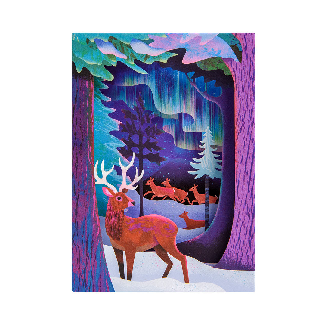 Northern Lights 3D Greeting Card (13678)
