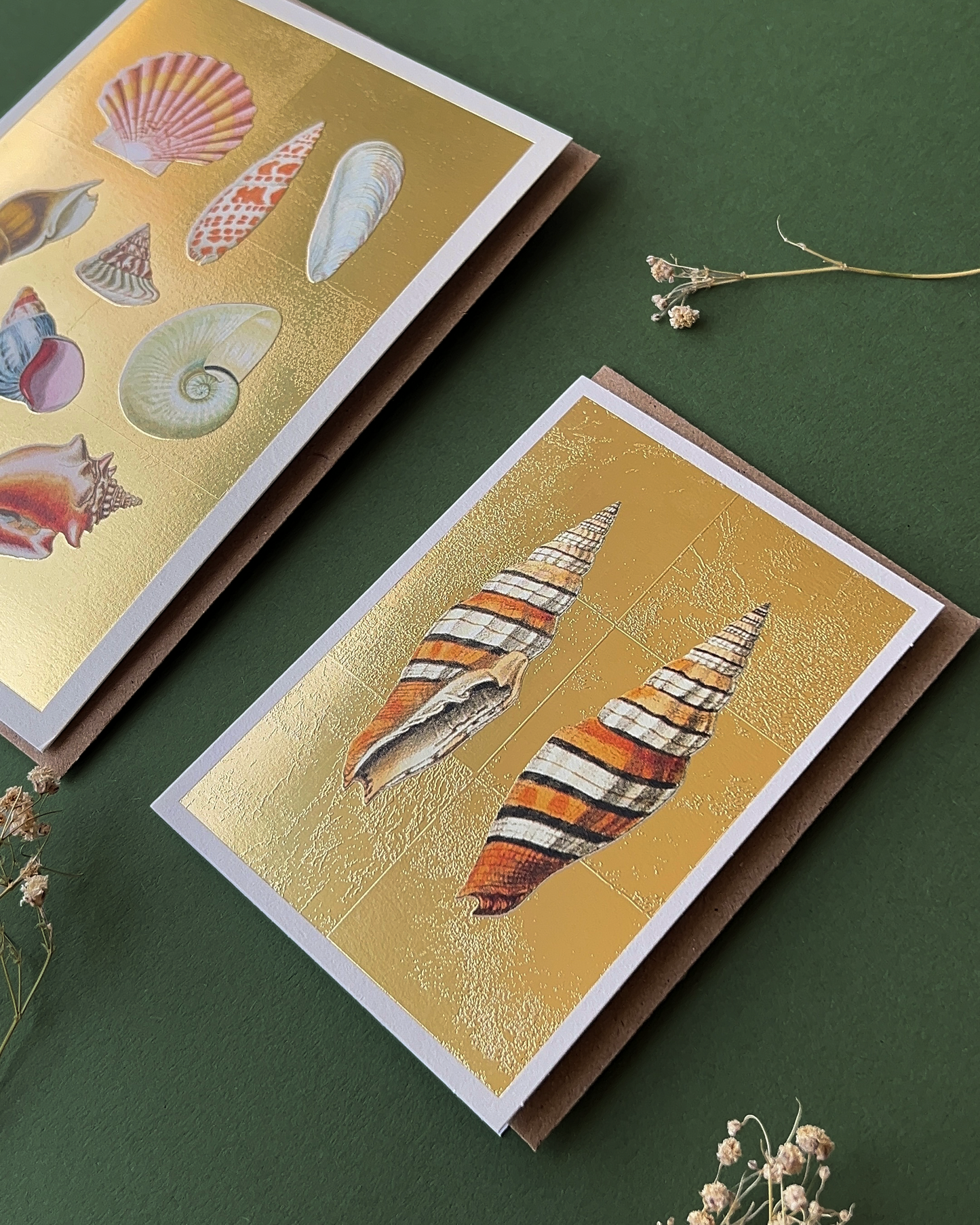 Shells Mini Greeting Card (14372)