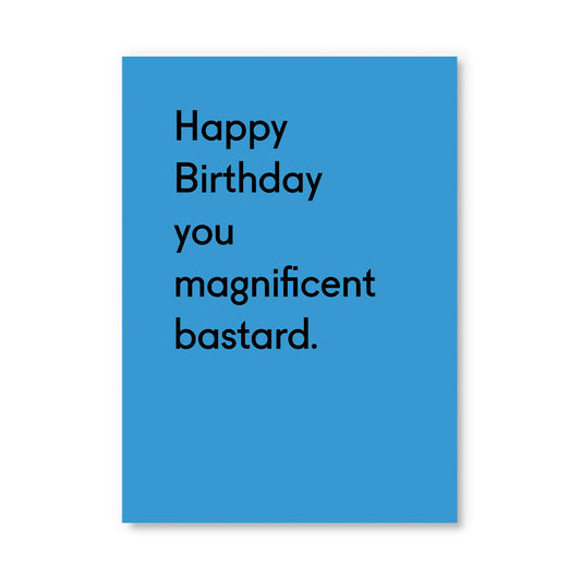 Happy Birthday You Magnificent Postcard (12316)