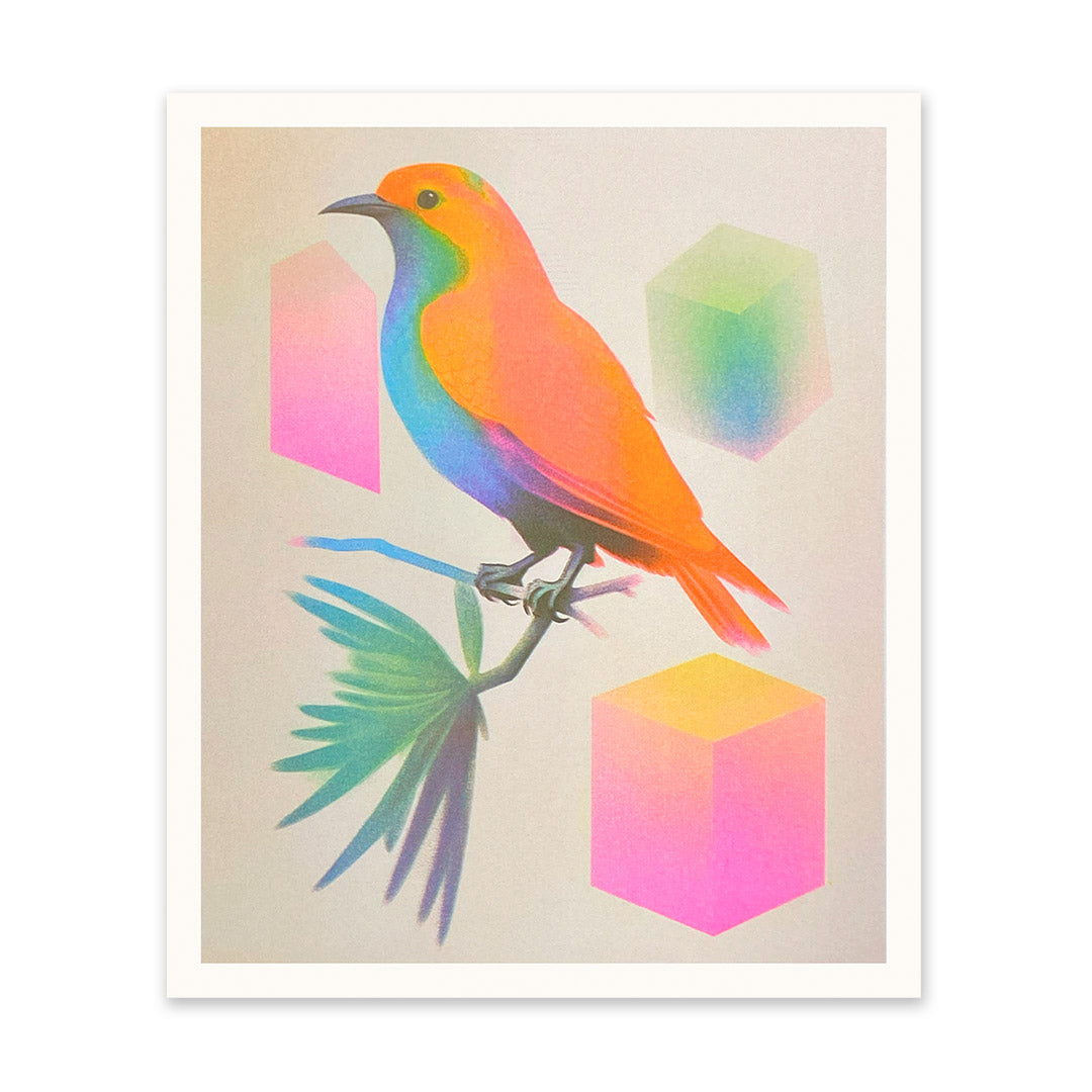 Neon Bird & Blocks Riso Print (12x10)(11024)