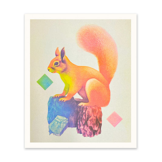 Red Squirrel Art Print (11409)