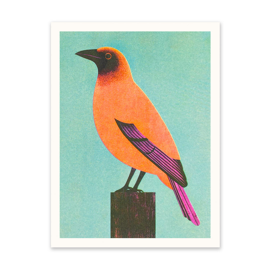 Mid Century Bird 1 Art Print (11215)